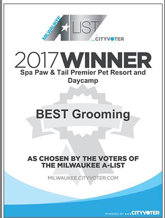 2017 Best Grooming award
