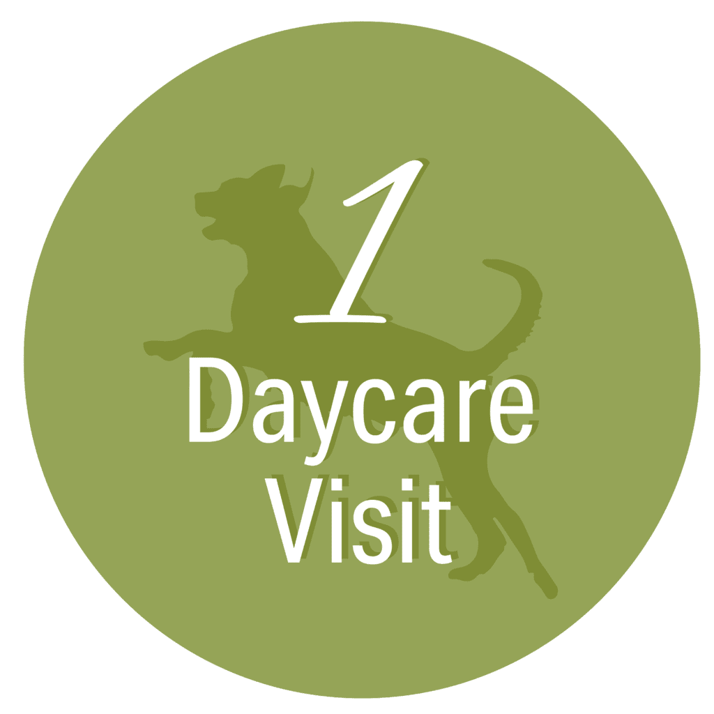 spa-paw-tail-one-daycare-visit