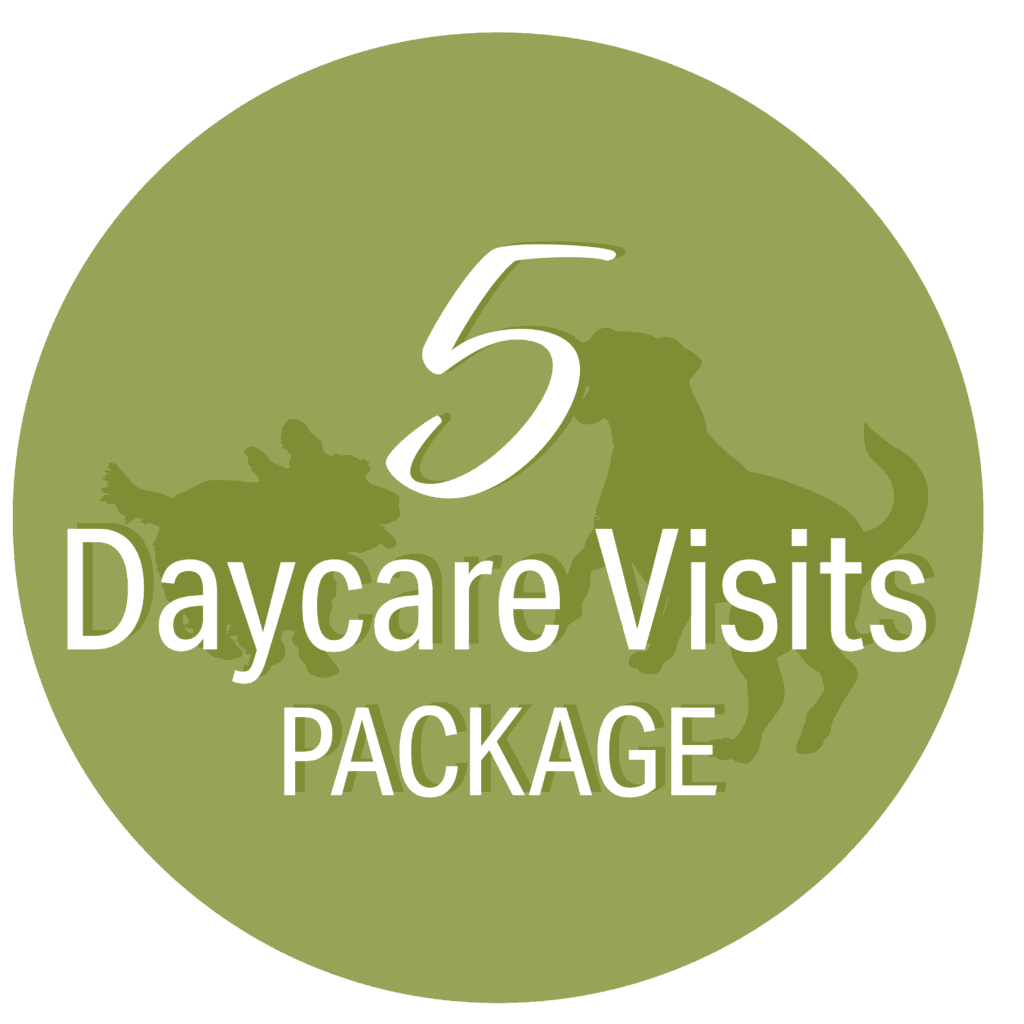 spa-paw-tail-5-daycare-visits-package