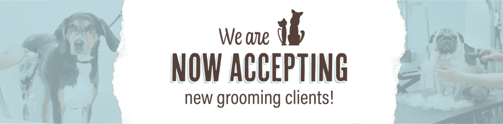 Accepting new grooming clients graphic